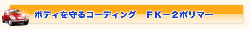ボディを守るコーディング FK-2ポリマー