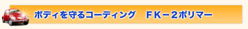 ボディを守るコーディング　ＦＫ－２ポリマー